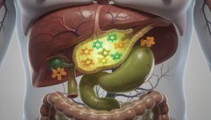 découvrez le rôle essentiel de la bilirubine conjuguée dans l'organisme, son fonctionnement, et son importance pour la santé.