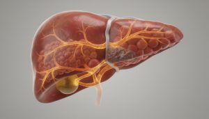 découvrez le rôle de la bilirubine conjuguée et son impact sur la santé du foie. comprenez ses implications pour diagnostiquer et surveiller les maladies hépatiques.