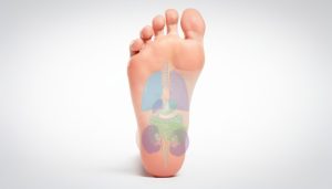 découvrez un schéma détaillé de la réflexologie plantaire pour comprendre les zones clés du pied et leurs bienfaits sur la santé et le bien-être.