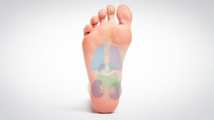 découvrez un schéma détaillé de la réflexologie plantaire pour comprendre les zones clés du pied et leurs bienfaits sur la santé et le bien-être.
